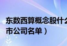东数西算概念股什么意思（涉及东数西算的上市公司名单）