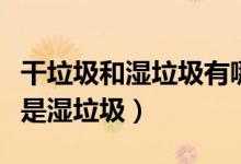 干垃圾和湿垃圾有哪些垃圾（灰尘是干垃圾还是湿垃圾）