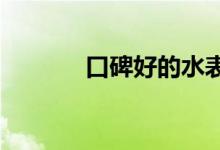  口碑好的水表十大品牌有哪些 