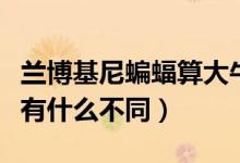 兰博基尼蝙蝠算大牛吗（兰博基尼蝙蝠和大牛有什么不同）