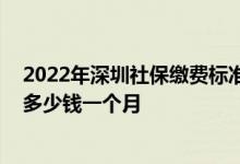 2022年深圳社保缴费标准是多少 深圳个人社保每个月要交多少钱一个月 