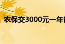 农保交3000元一年能领多少钱 如何交农保 