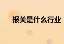 报关是什么行业（报关行业前景如何）