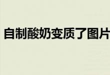 自制酸奶变质了图片（自制酸奶变质的表现）