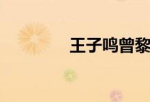 王子鸣曾黎（王子鸣是谁）