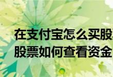 在支付宝怎么买股票怎么看资金 在支付宝买股票如何查看资金