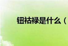 钮祜禄是什么（钮祜禄是什么意思）