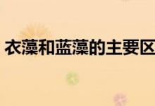 衣藻和蓝藻的主要区别（衣藻和蓝藻的区别）
