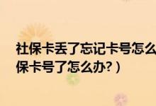 社保卡丢了忘记卡号怎么查（如何查询社保卡号?忘记了社保卡号了怎么办?）