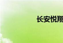  长安悦翔1.5外形细节 