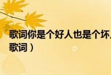 歌词你是个好人也是个坏人（我是好人也是个坏人是哪首歌歌词）