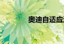  奥迪自适应巡航定速怎么开 