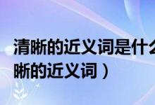 清晰的近义词是什么（清晰的近义词是什么清晰的近义词）