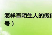 怎样查陌生人的微信号（怎样查陌生人的微信号）