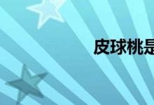  皮球桃是不是硬硬的 