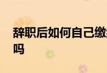 辞职后如何自己缴纳社保 可以缴纳职工社保吗 