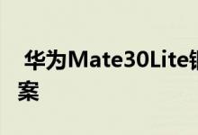  华为Mate30Lite钢化膜曝光或水滴屏设计方案 