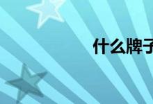  什么牌子抽油烟机好 