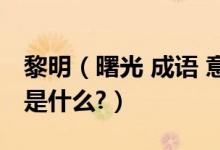 黎明（曙光 成语 意思黎明的曙光真正的含义是什么?）