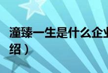 潼臻一生是什么企业（林生斌身价及其图片介绍）