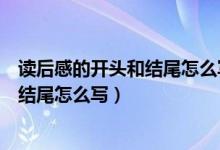 读后感的开头和结尾怎么写作文（一篇文章的读后感开头和结尾怎么写）