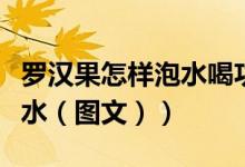 罗汉果怎样泡水喝功效与作用（罗汉果怎样泡水（图文））