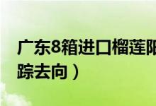 广东8箱进口榴莲阳性已流向市场（目前在追踪去向）