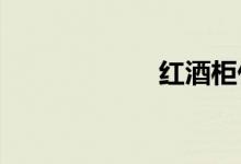  红酒柜什么牌子好 