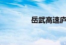  岳武高速庐江段多少公里? 