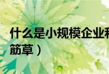 什么是小规模企业和一般纳税人（什么是小伸筋草）
