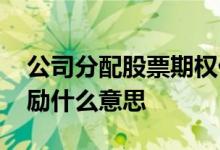 公司分配股票期权什么意思 分配股票期权激励什么意思 