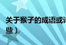 关于猴子的成语或诗句（关于猴子的成语有哪些）