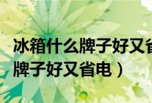 冰箱什么牌子好又省电实惠排行榜（冰箱什么牌子好又省电）