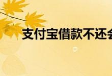 支付宝借款不还会怎样（支付宝借款）