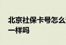 北京社保卡号怎么查询 社保卡号与身份证号一样吗 