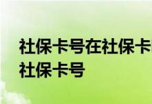 社保卡号在社保卡哪个位置 怎么查询自己的社保卡号 