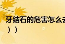 牙结石的危害怎么去除（牙结石的危害（图文））
