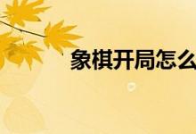 象棋开局怎么走好?（当头炮?）