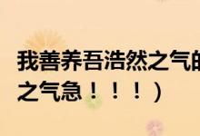 我善养吾浩然之气的翻译（翻译我善养吾浩然之气急！！！）
