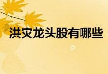 洪灾龙头股有哪些（洪灾相关概念股一览）