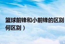 篮球前锋和小前锋的区别（打蓝球分大前锋和小前锋他们有何区别）