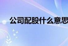 公司配股什么意思啊 公司配股什么意思 