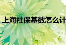 上海社保基数怎么计算 社保缴纳比例为多少 