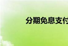 分期免息支付 分付有免息期吗