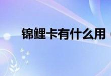 锦鲤卡有什么用（锦鲤卡的用途一览）