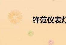  锋范仪表灯光是白色的吗 
