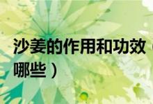 沙姜的作用和功效（沙姜的功效与作用主要有哪些）