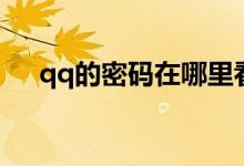qq的密码在哪里看（qq密码怎么修改）