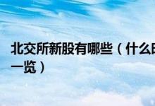 北交所新股有哪些（什么时候上市 北交所近期申购新股名单一览）