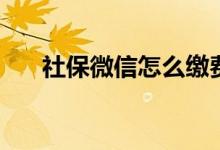社保微信怎么缴费 缴费交错了能退吗 